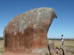 Travis and Murphys Haystacks